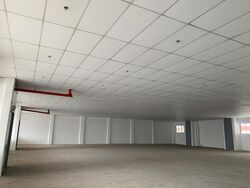 Loyang Industrial Estate (D17), Factory #458013731